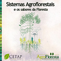 sistemas_agroflorestais_sabores_floresta-cp