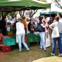 240319-curso-consumidores-agricultores-em-rede-PFundo (11)