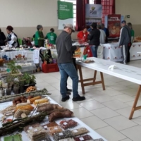 230519-feira-sementes-Dois-Lageados (1)