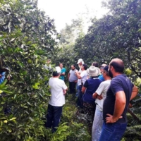 Encontro-Agrofloresteiros-Aratiba_01-230419