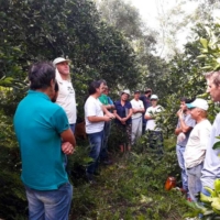 Encontro-Agrofloresteiros-Aratiba_02-230419