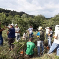 Encontro-Agrofloresteiros-Aratiba_03-230419